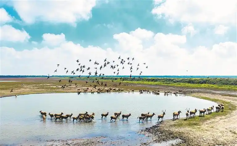 深度关注丨从“十五五”全球热词看中国新机遇 深度关注丨从“十五五”全球热词看中国新机遇