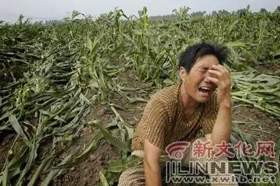 长春砍手门:社会之伤,闻哥之痛,我们该如何反思? 长春砍手门:社会之伤,闻哥之痛,我们该如何反思?