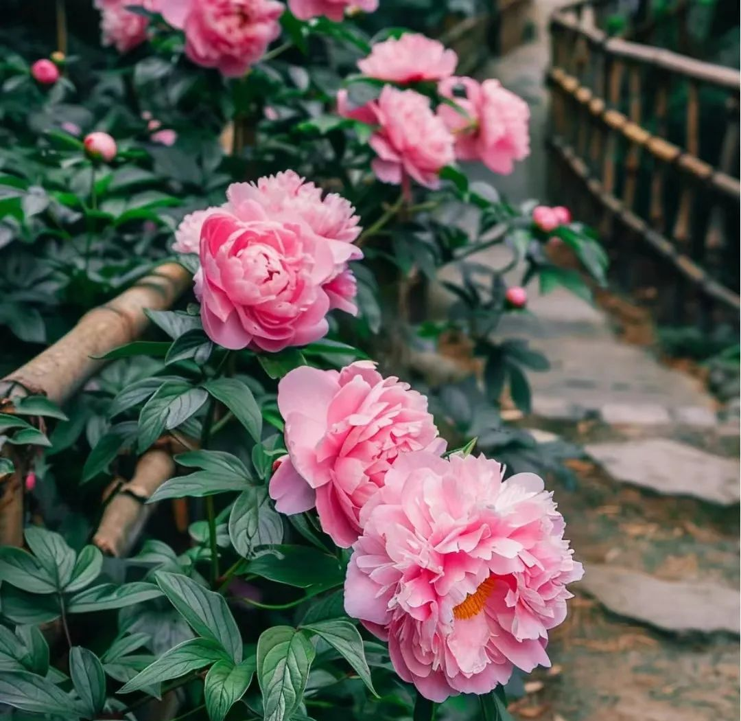 微信头像推荐:自然风景中的阳光与宁静,令人心旷神怡的头像选择 微信头像推荐:自然风景中的阳光与宁静,令人心旷神怡的头像选择