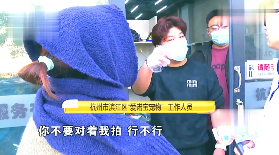 免费领养狗狗正规网_宠物领养陷阱_后院猫狗领养骗局