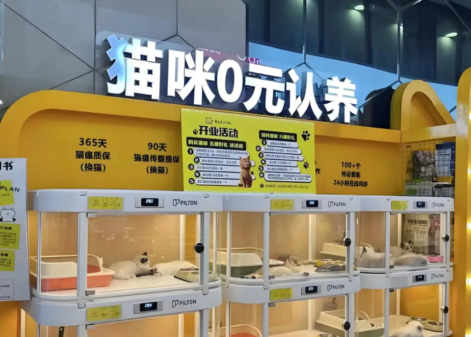 宠物领养陷阱_免费领养狗狗正规网_后院猫狗领养骗局