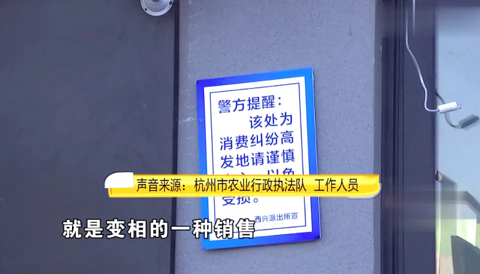 后院猫狗领养骗局_免费领养狗狗正规网_宠物领养陷阱