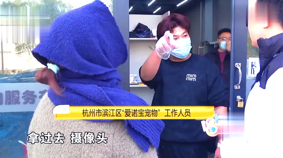 宠物领养陷阱_后院猫狗领养骗局_免费领养狗狗正规网