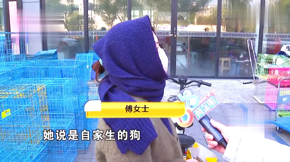 免费领养狗狗正规网_后院猫狗领养骗局_宠物领养陷阱