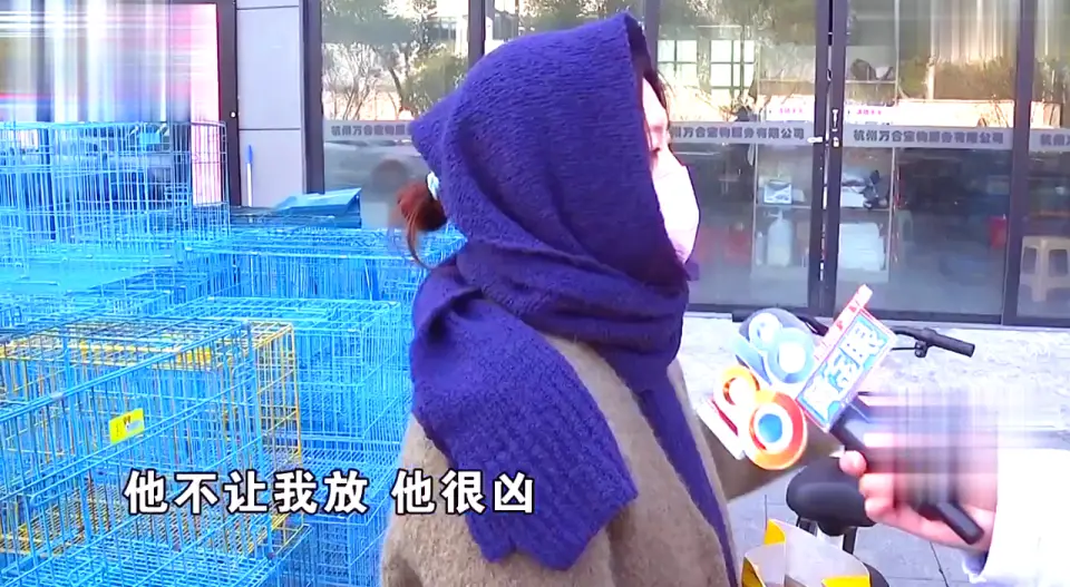 后院猫狗领养骗局_免费领养狗狗正规网_宠物领养陷阱