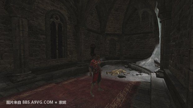 恶魔城暗影之王PC版收集要素_恶魔城暗影之王_恶魔城暗影之王PC版隐藏物品攻略