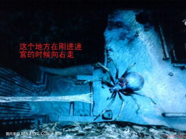 恶魔城暗影之王_恶魔城暗影之王PC版隐藏物品攻略_恶魔城暗影之王PC版收集要素