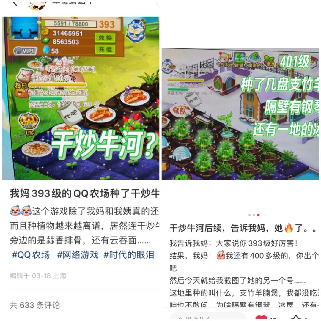 qq农场班级群_陈阿姨的《QQ农场》等级_玩《QQ农场》超过10年