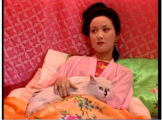 张国立与前妻罗秀春离婚原因_张国立为什么和前妻离婚_张国立与邓婕爱情故事