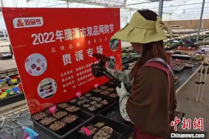 江西“五一”商贸消费加速升温 销售额超282亿元 江西“五一”商贸消费加速升温 销售额超282亿元