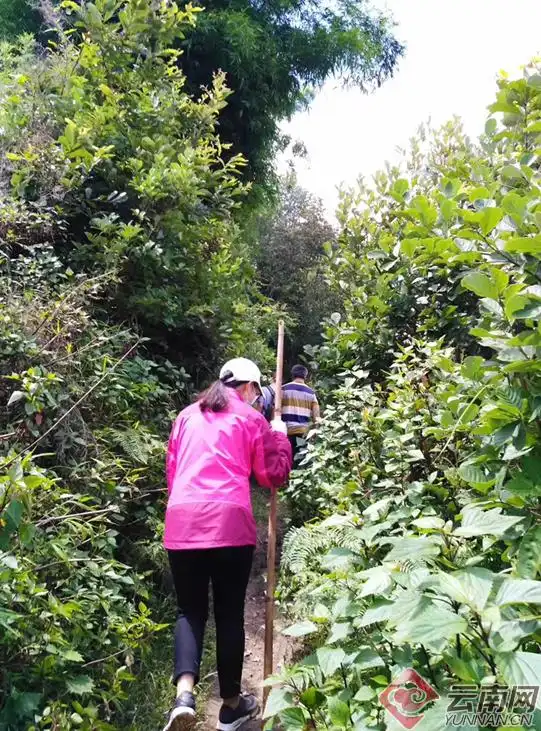 大学生女村官 观看_倩如扶贫经历_怒江州大学生村官