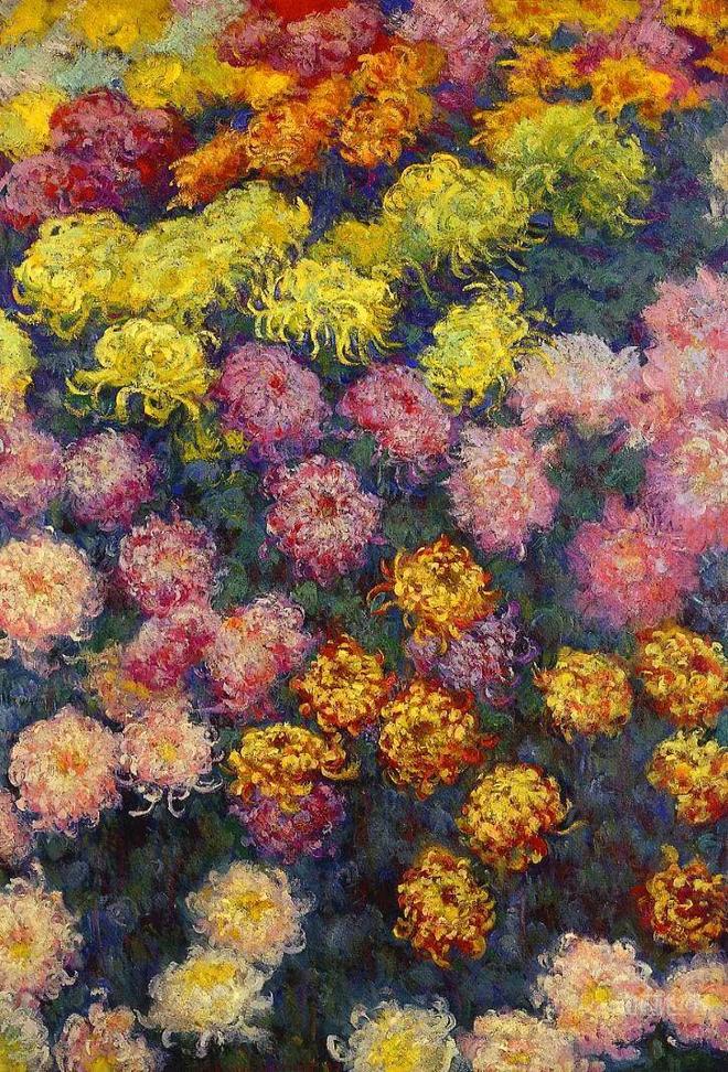 克劳德·莫奈的作品_莫奈菊花画_菊花文化