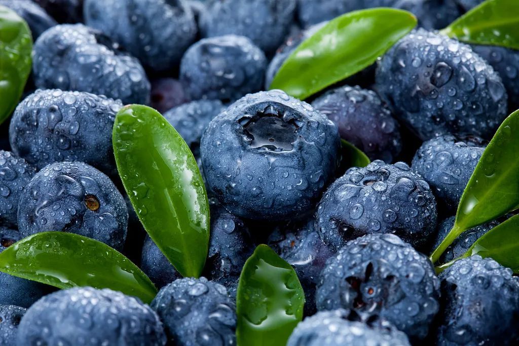 蓝莓与药物食用禁忌_但凡在吃药最好别吃这种水果_吃蓝莓时需注意药物相互作用