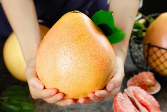 吃柚子与药物相互作用_但凡在吃药最好别吃这种水果_柚子与哪些药物不能同食