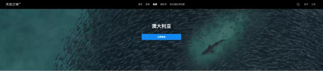 比较好的下载ppt的网站_数据看板模板_图表制作网站