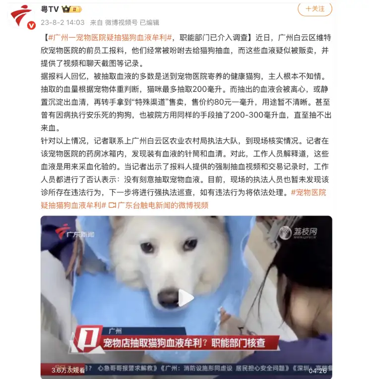 有人抽流浪猫血牟利?广州宠物行业呼吁:拒绝使用来源不明犬猫血液 有人抽流浪猫血牟利?广州宠物行业呼吁:拒绝使用来源不明犬猫血液