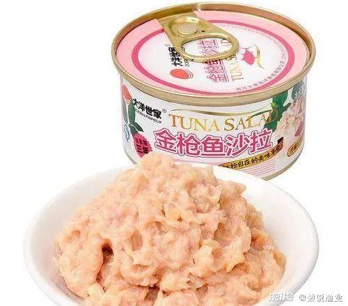 印度洋金枪鱼兼捕问题_印度洋金枪鱼捕捞量排名_金枪鱼捕捞