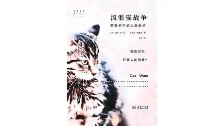 我们应该如何对待户外猫?一个猫、鸟、人都受益的建议 我们应该如何对待户外猫?一个猫、鸟、人都受益的建议