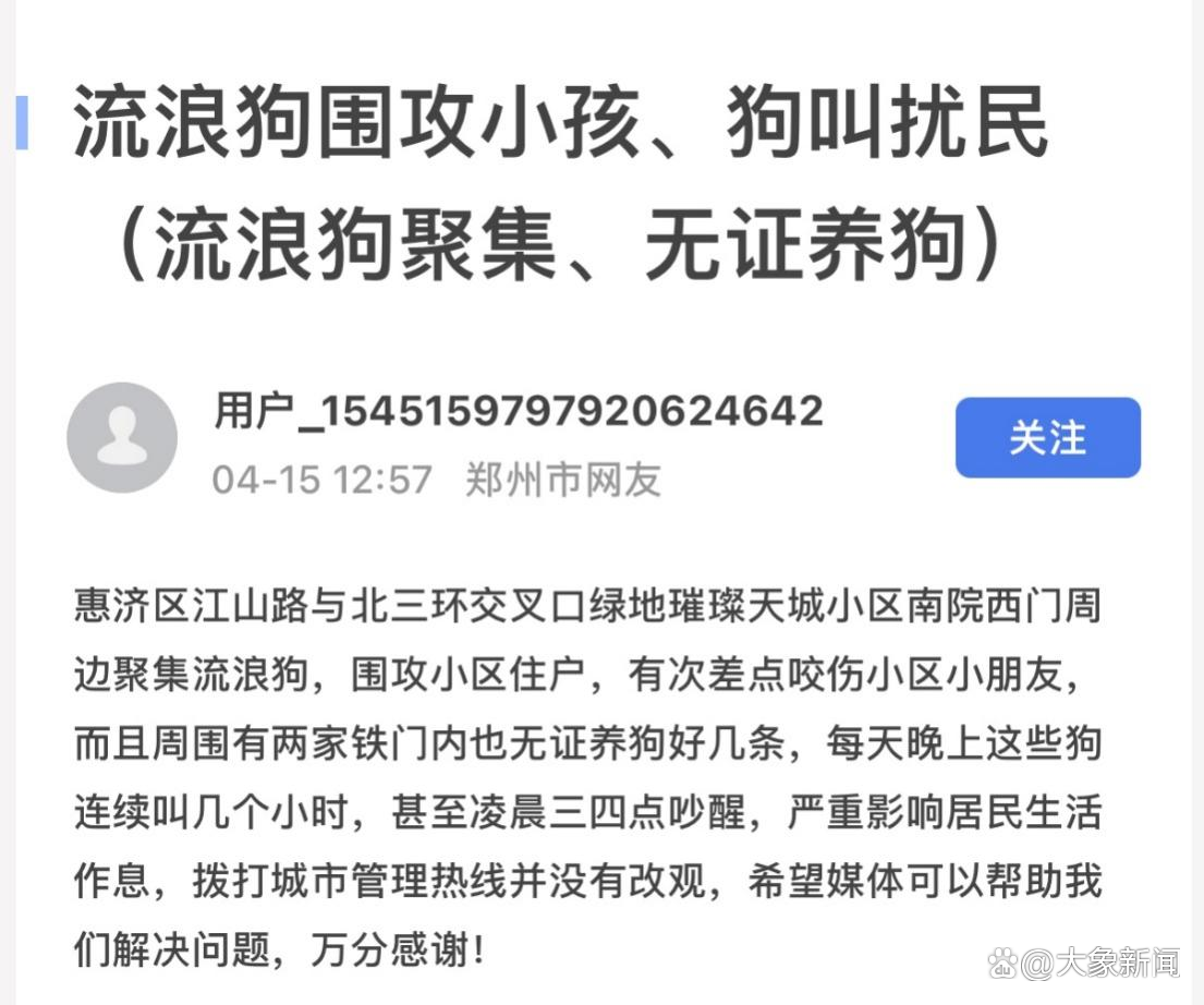 大象帮丨网友求助小区附近流浪狗扰民,记者联合公益组织现场救助 大象帮丨网友求助小区附近流浪狗扰民,记者联合公益组织现场救助