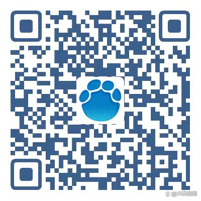 流浪狗救助_流浪狗围攻居民_别让宠物救命血成流浪动物的索命符