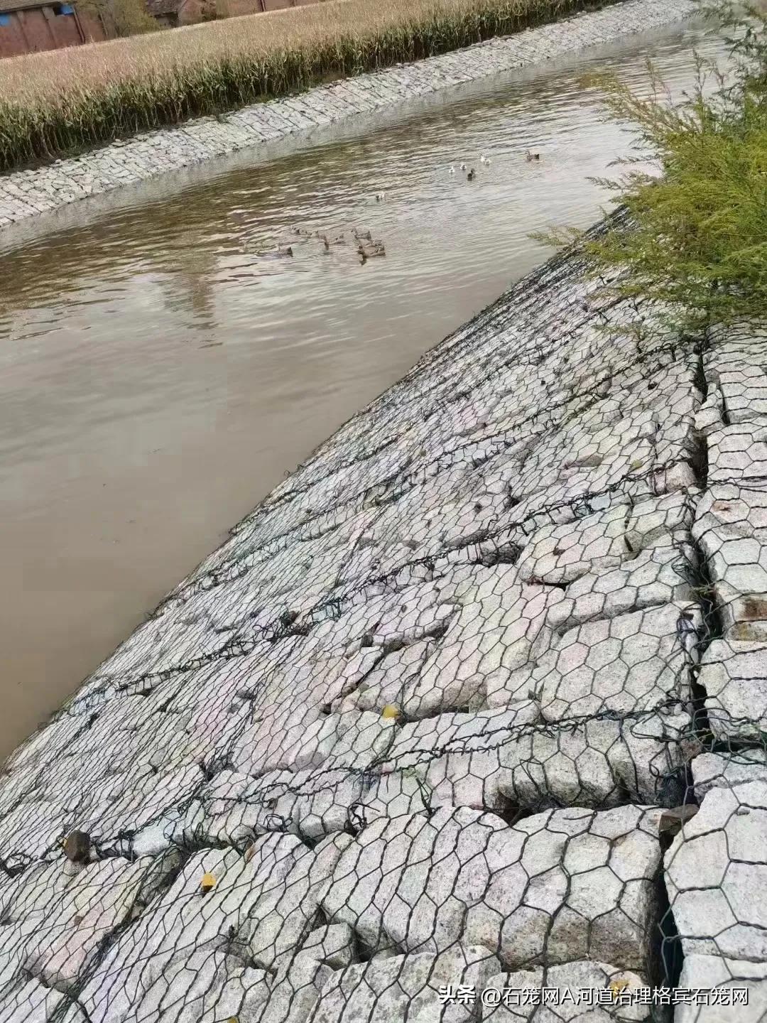 雷诺护垫施工规范_雷诺护垫生态修复技术_河道治理雷诺护垫