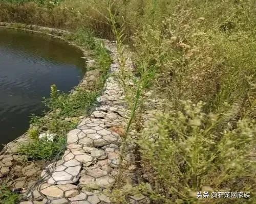 雷诺护垫施工规范_雷诺护垫单隔板双隔板区别_雷诺护垫规格参数