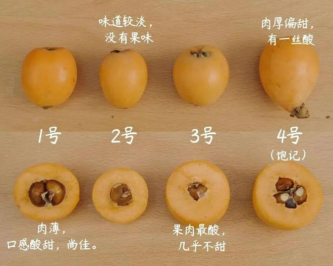 床垫购买_超级工厂_1688购物攻略_生活用品在哪个网站买靠谱