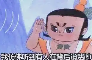 胡芦娃_葫芦娃的记忆_胡进庆的传奇生涯