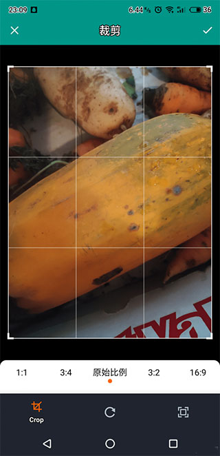 apus文字识别app_识丁app去广告版_免费文字识别app哪个好