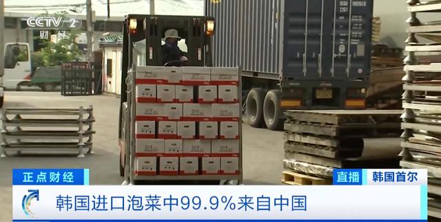 大量进口泡菜,主要来自中国!韩国“泡菜贸易赤字”持续→ 大量进口泡菜,主要来自中国!韩国“泡菜贸易赤字”持续→