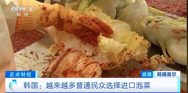 中国泡菜进口韩国原因_韩国泡菜贸易赤字_韩国进口辣白菜超99.9%来自中国
