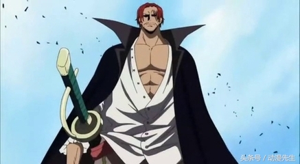 伟大航路最强海贼_白胡子最强实力_海贼王中文网革命家龙几岁