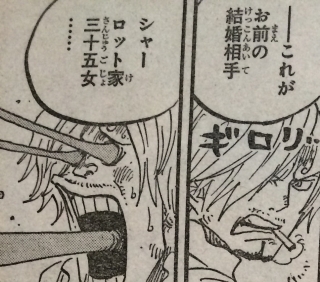 海贼过家家 路飞 父亲蒙奇D龙_海贼王中文网革命家龙几岁_海贼过家家 路飞 革命军