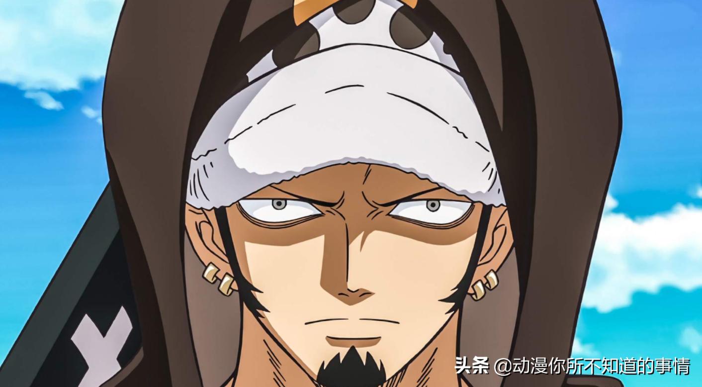 D之一族含义解析_海贼王D一族真实身份_海贼王中文网革命家龙几岁