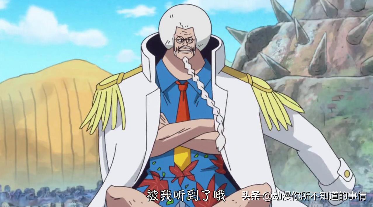 海贼王D一族真实身份_D之一族含义解析_海贼王中文网革命家龙几岁