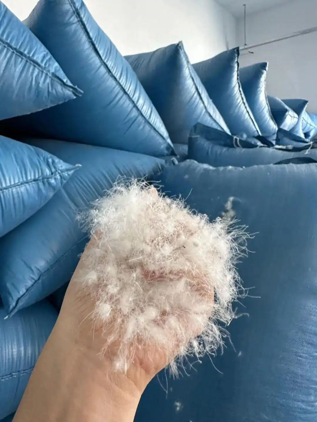 300元以下能否买到真羽绒服_羽绒服价格迷思_300元以下的羽绒服能买吗