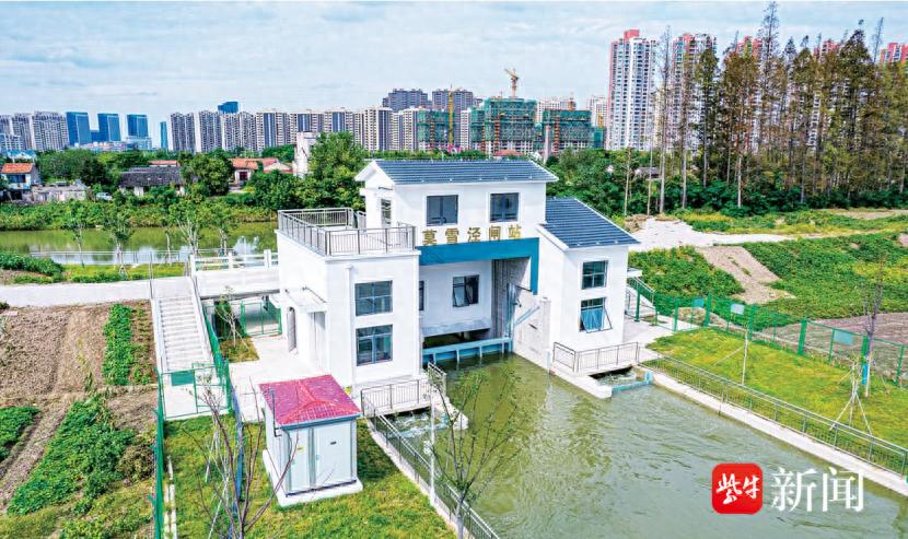 加强河道长效管护,太仓港区(浮桥镇)全力提升河道水环境质量 加强河道长效管护,太仓港区(浮桥镇)全力提升河道水环境质量