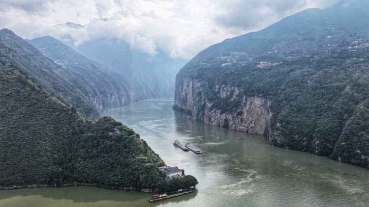 流感疫苗种类选择_流感疫苗接种时间_流感毒株变了!中疾控提醒