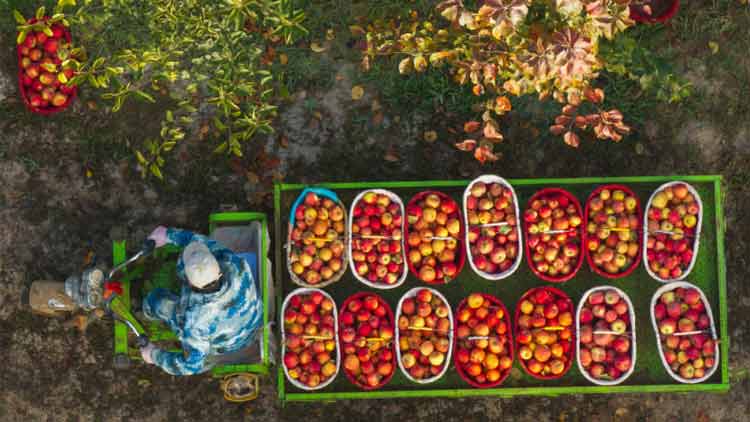 流感毒株变了!中疾控提醒_流感疫苗接种时间_流感疫苗种类选择