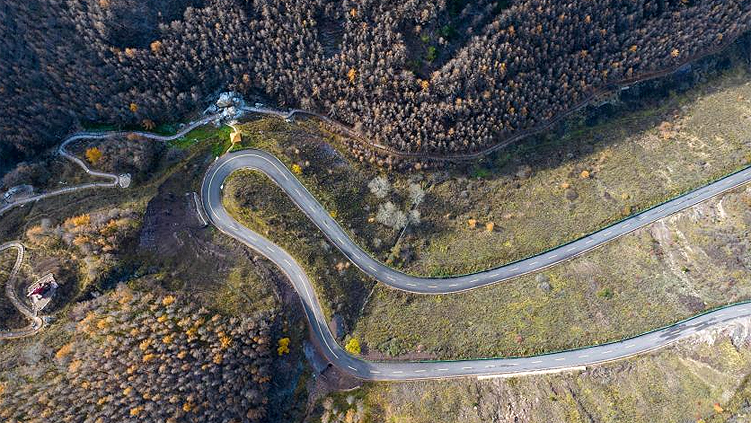流感疫苗接种时间_流感疫苗种类选择_流感毒株变了!中疾控提醒