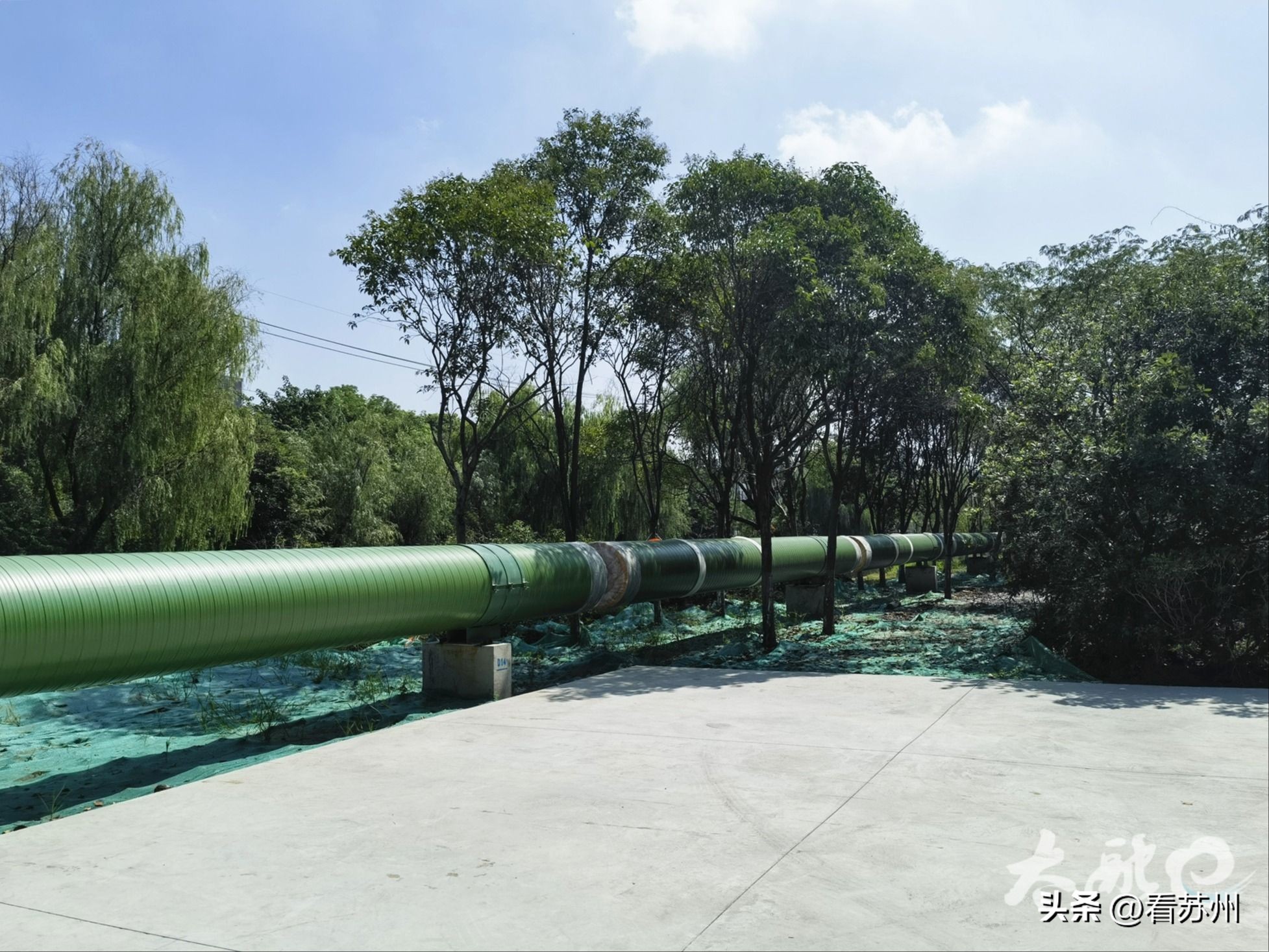 长江以南首个！太仓港区集中供热区域有望年底通气！