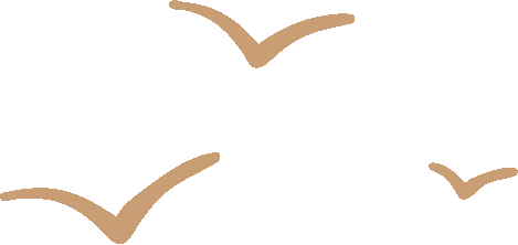 新闻发布会情景模拟_勐腊县新闻发布会模拟演练_宣传策划与舆论引导能力提升