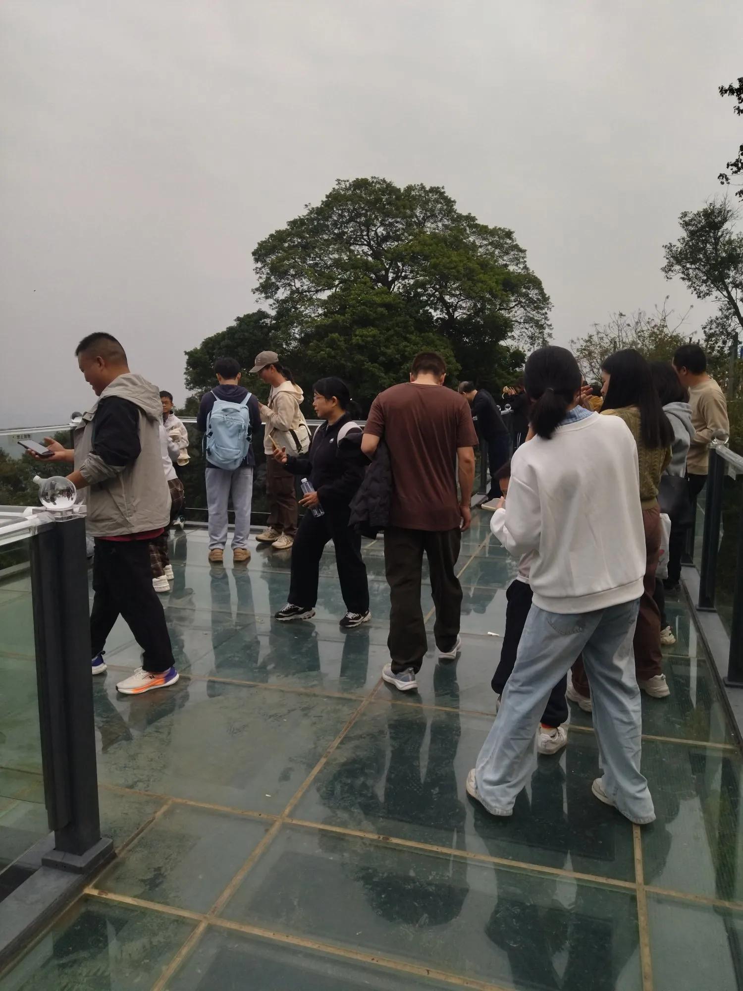 广州哪里适合郊游踏青_广州黄埔区油麻山森林公园_免费爬山广州黄埔