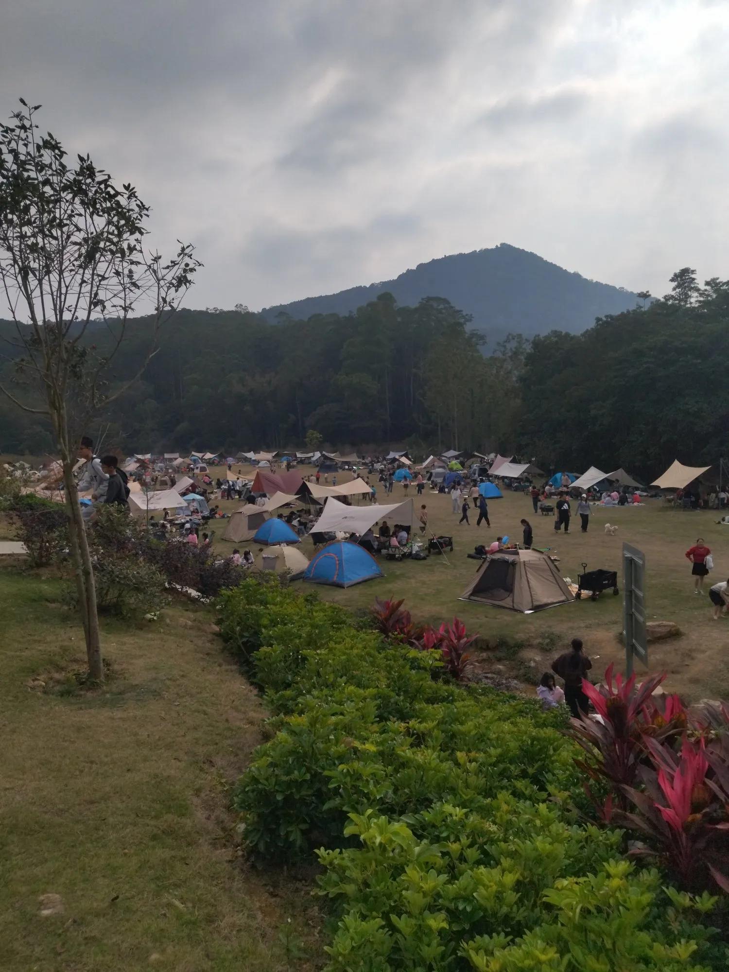 广州哪里适合郊游踏青_免费爬山广州黄埔_广州黄埔区油麻山森林公园
