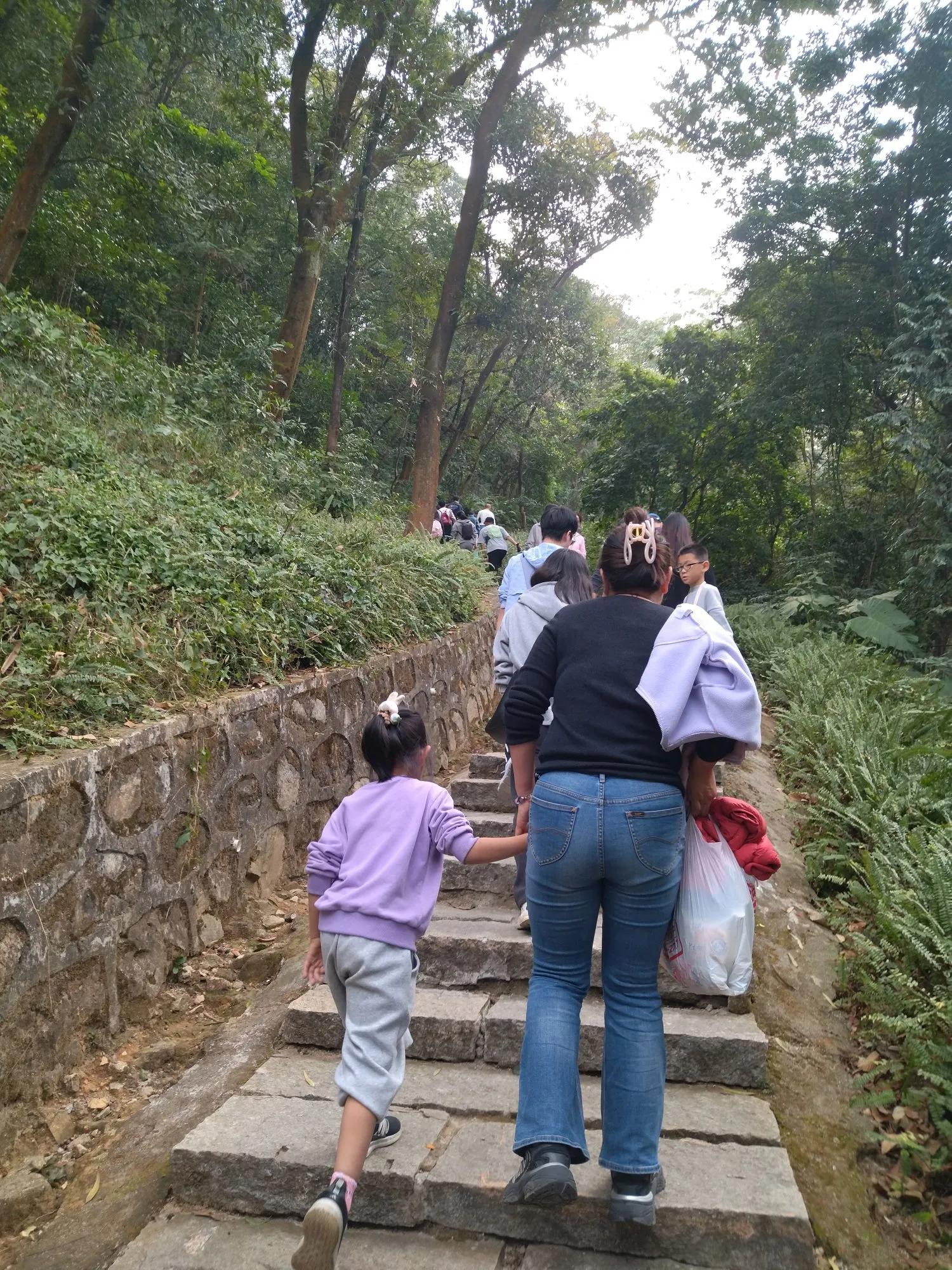 广州黄埔区油麻山森林公园_广州哪里适合郊游踏青_免费爬山广州黄埔