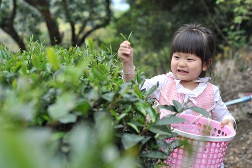 广州清明踏青去哪玩？收好这份出游全攻略！