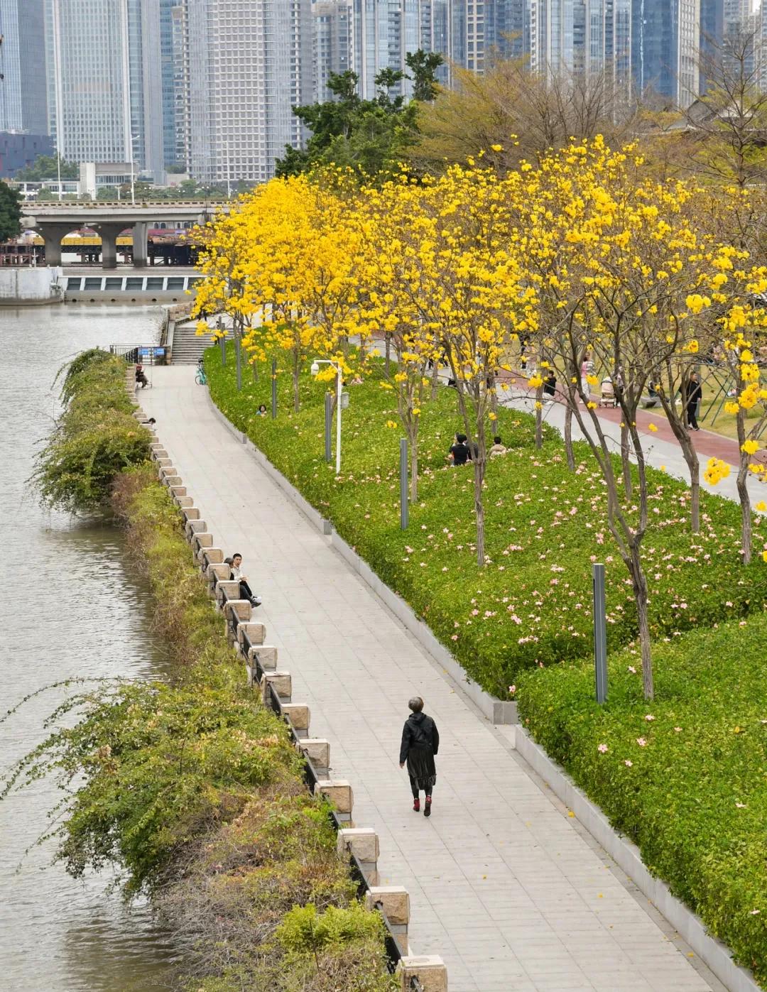 不用人挤人！广州市区这个“人少花美”公园太棒了，拍照好去处！