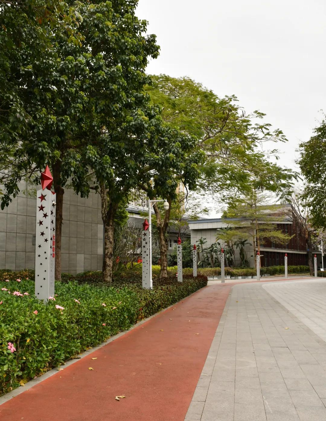 广州磨碟沙公园黄花风铃木_磨碟沙公园紫玉兰拍照_广州哪里适合郊游踏青