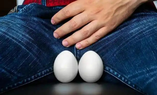 睾丸健康_男人被捏蛋蛋感觉_睾丸发育异常