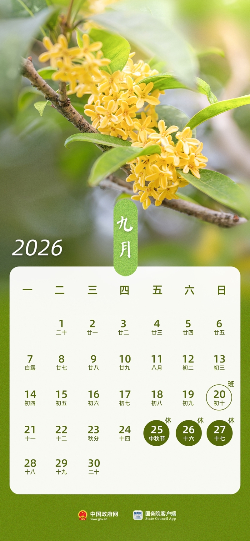 2026年万圣节是几月几号_2026年节假日调休通知_2026年放假安排表